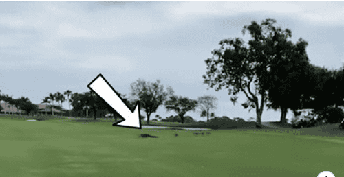 Igrali so golf in zagledali nenormalno sceno, ki so jo morali posneti in deliti z drugimi!