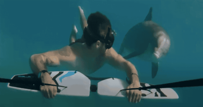 Delfin Jojo obožuje ljudi in se rad druži s psi!