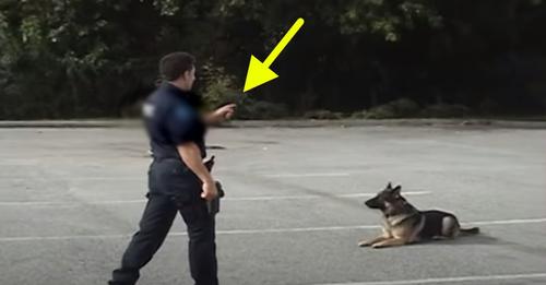 Temu policistu nihče ni verjel, da lahko njegov pes naredi TO, zato se je odločil, da to vsem dokaže!