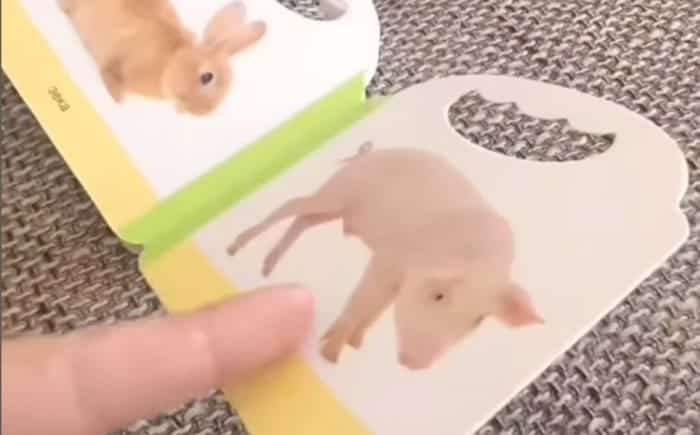 Oče je sinu razložil, kaj je v resnici v njegovi slikanici, video je HIT na Balkanu!