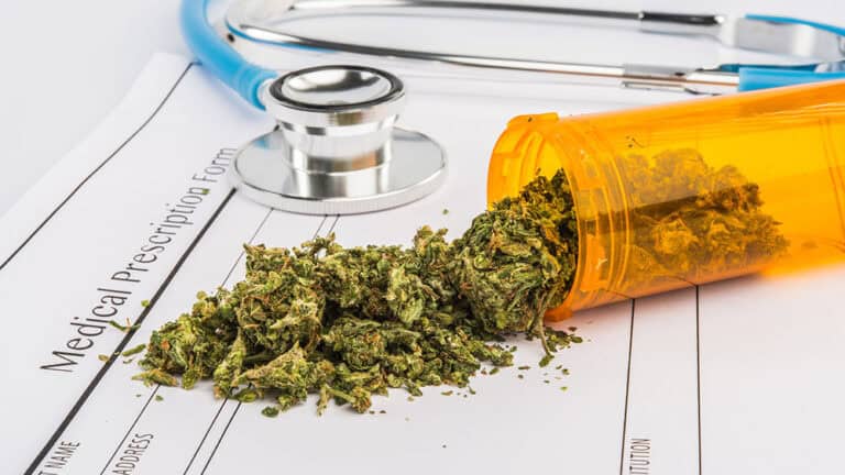 Zdravniki od danes naprej lahko predpisujejo medicinsko konopljo!