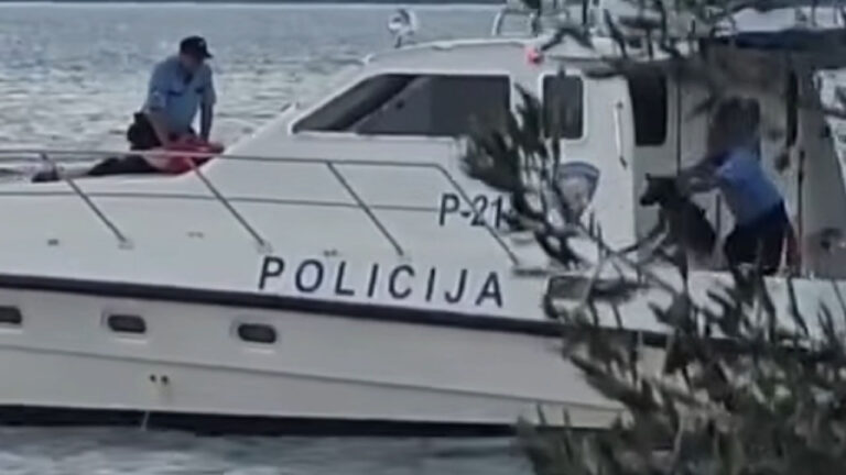 Posnetek razkriva sporno posredovanje: Zakaj je policist s službenega čolna odvrgel psa?